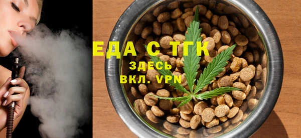 дживик Ельня