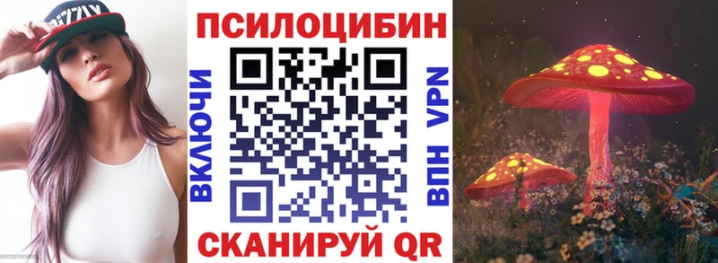 Псилоцибиновые грибы мицелий  как найти закладки  Рошаль 