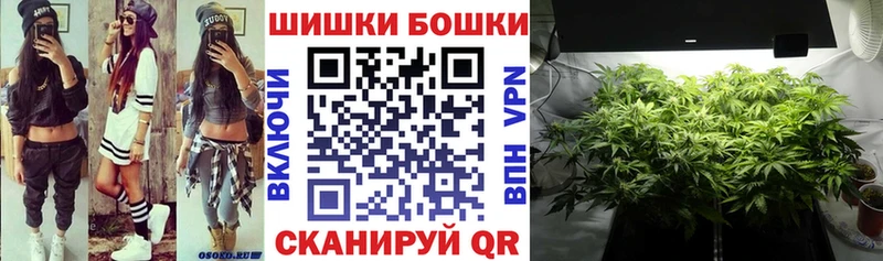 где можно купить   Рошаль  mega ТОР  Каннабис AK-47 
